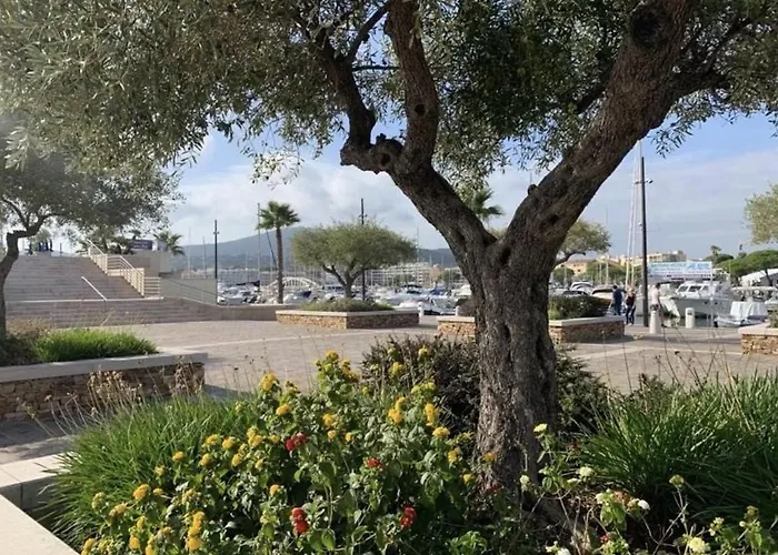 Apartment Sainte-maxime: 2 Pieces, 5 Couchages, Vue Mer, Clim, Centre-ville - Fr-1-226-515 *